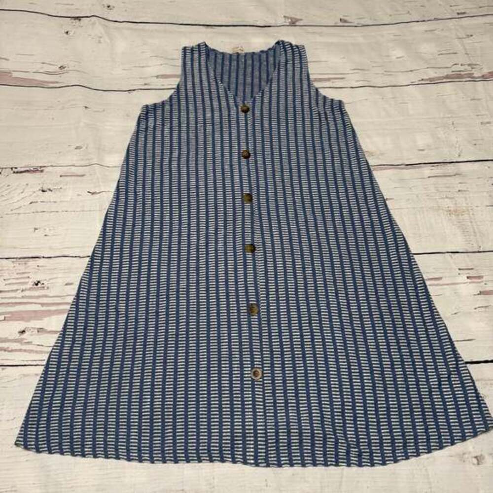 Caution To The Wind Blue and White Striped Sleeveless Button-Front Shirt Dress
